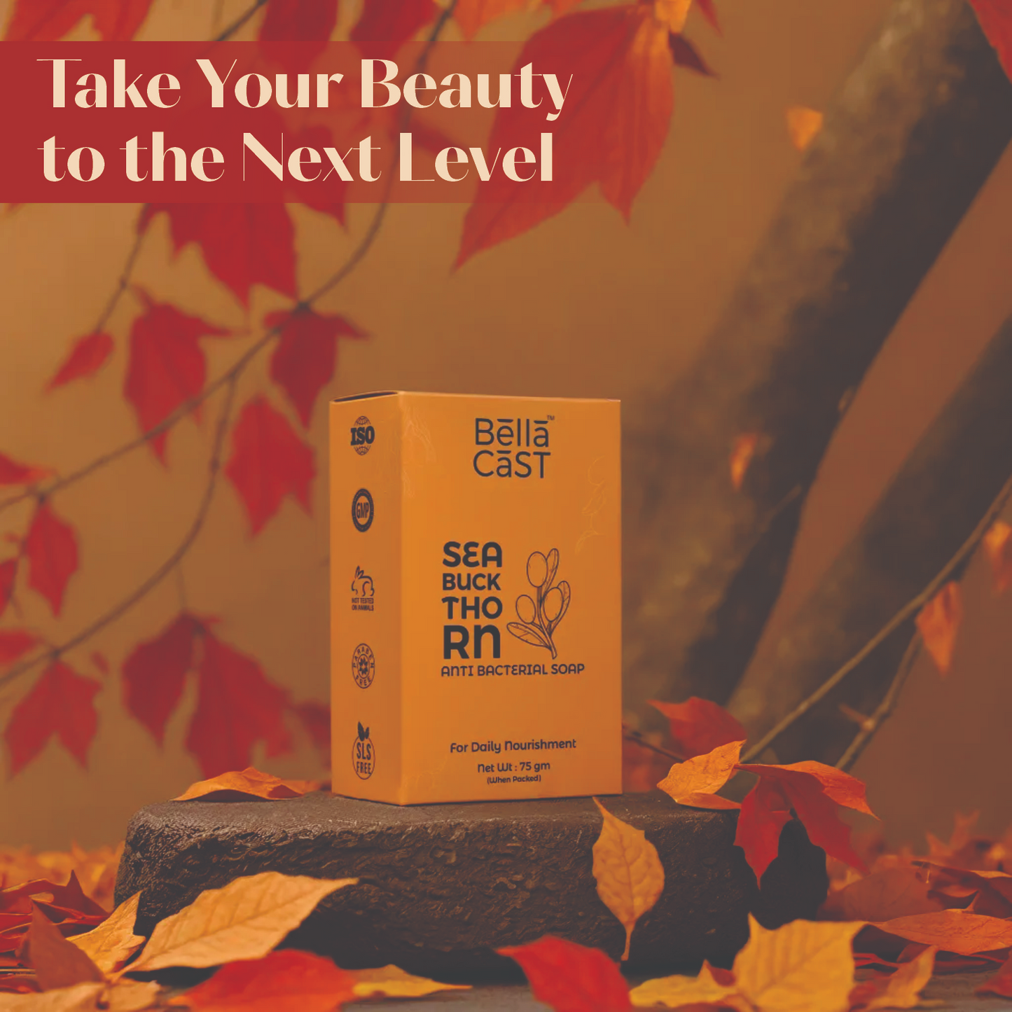 Sea Buckthorn Bar