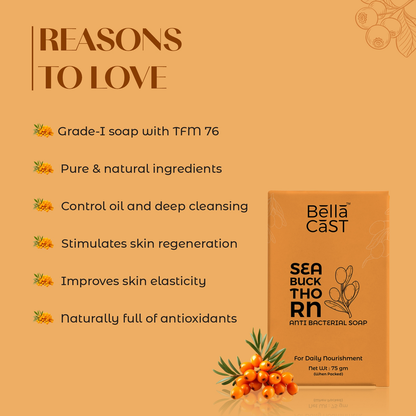 Sea Buckthorn Bar