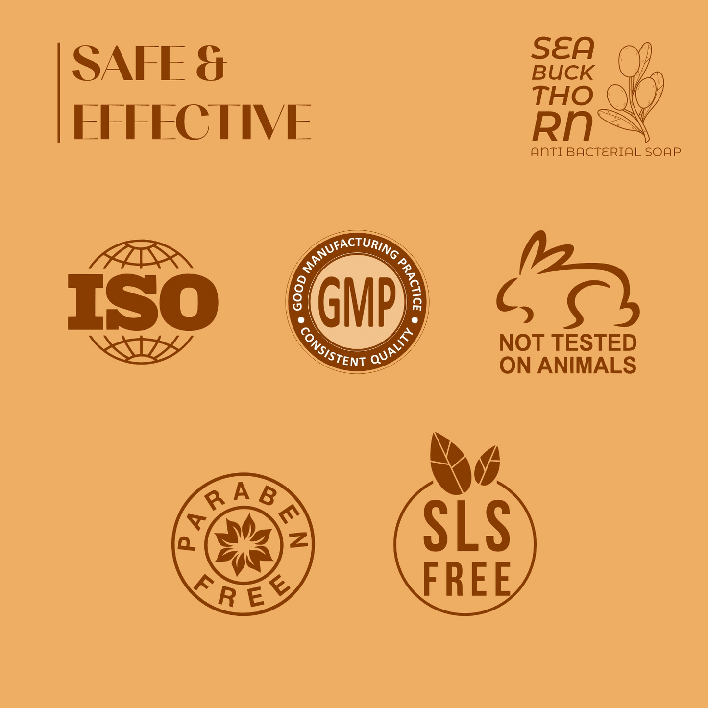 Sea Buckthorn Bar